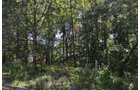 Property photo 59 - 21 Acre Modern Country Estate